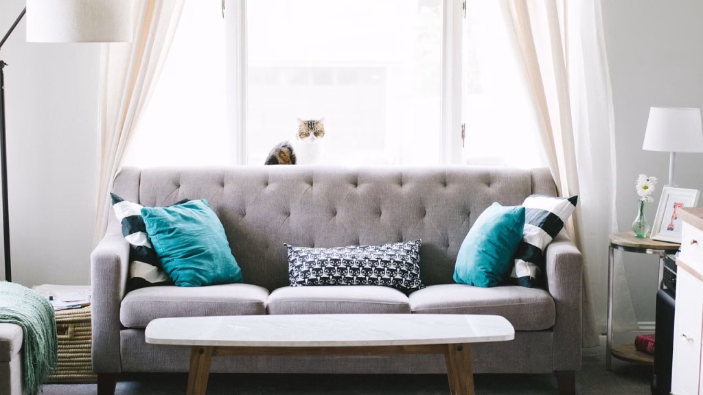 living room, sofa, couch, interior design, decoration, pillow, windows, curtain, table, furniture, cozy, home, house, living room furniture, interior decoration, home furniture, living room, living room, living room, living room, living room, sofa, sofa, sofa, couch, interior design, furniture, furniture, furniture, home, home, home, house, house, house, house