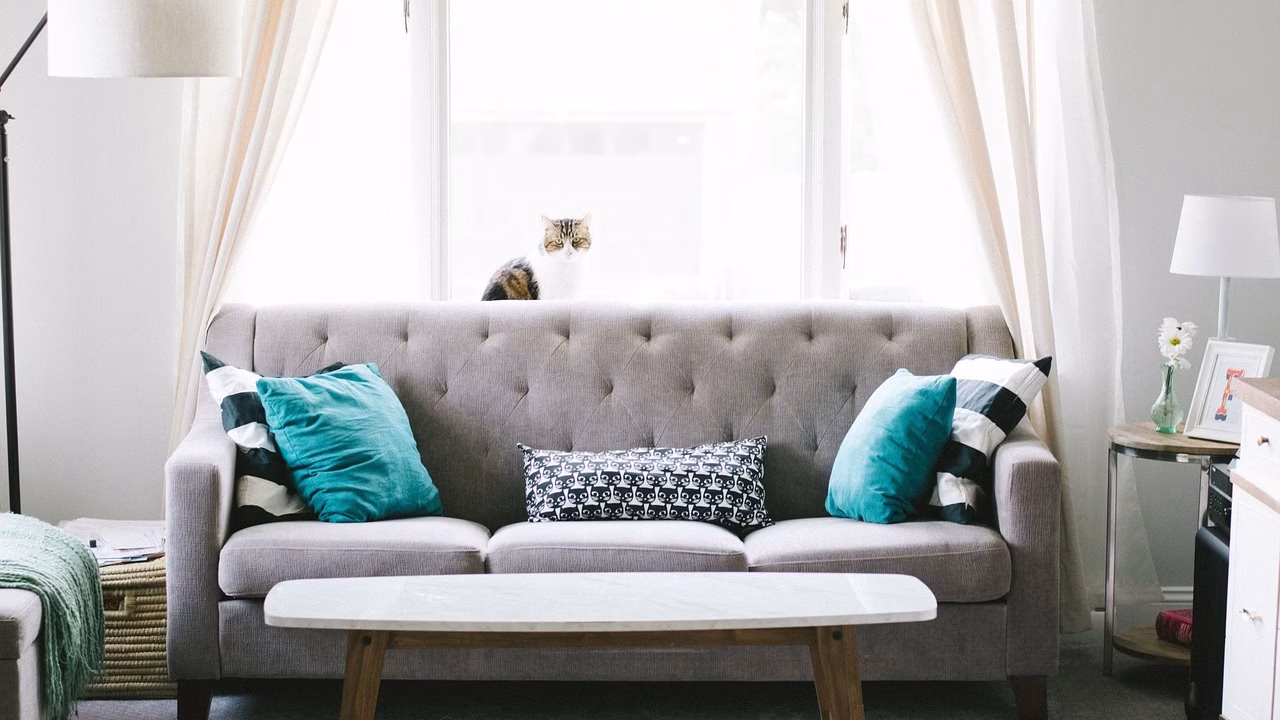 living room, sofa, couch, interior design, decoration, pillow, windows, curtain, table, furniture, cozy, home, house, living room furniture, interior decoration, home furniture, living room, living room, living room, living room, living room, sofa, sofa, sofa, couch, interior design, furniture, furniture, furniture, home, home, home, house, house, house, house